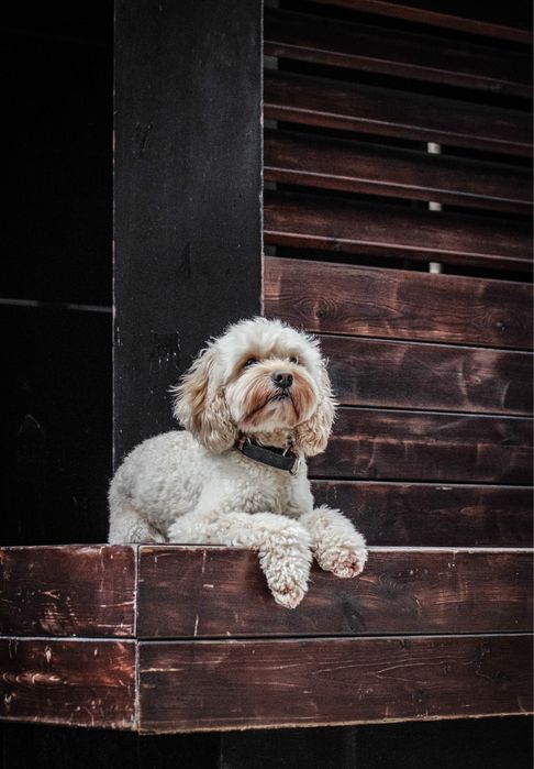 Фотоаппарат Nikon d5100 + объектив 55 200