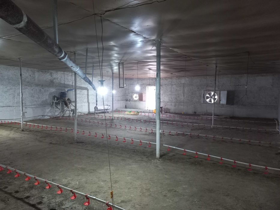 Дом с бизнесом для семьи