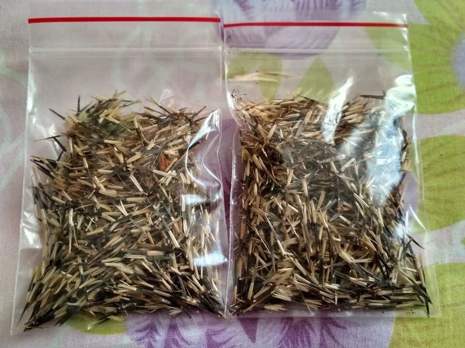 Семена бархацев (чернобривцы)