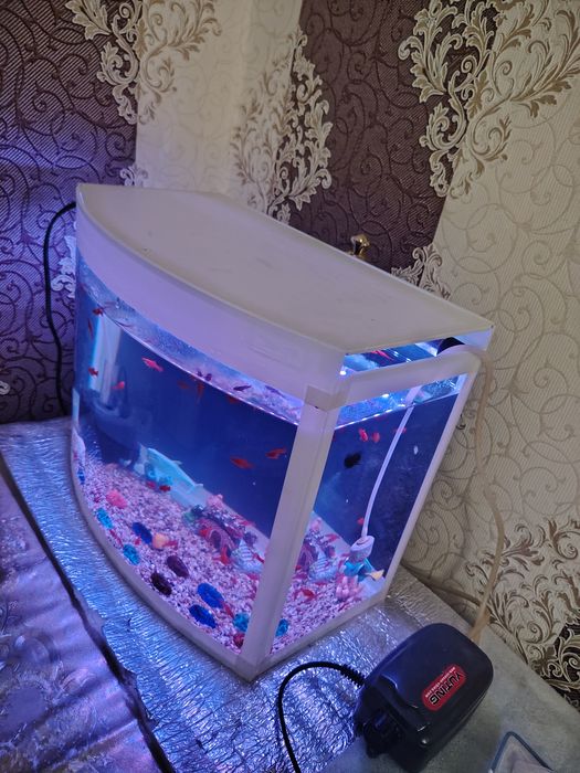 Akvarium 30Litr komplekt