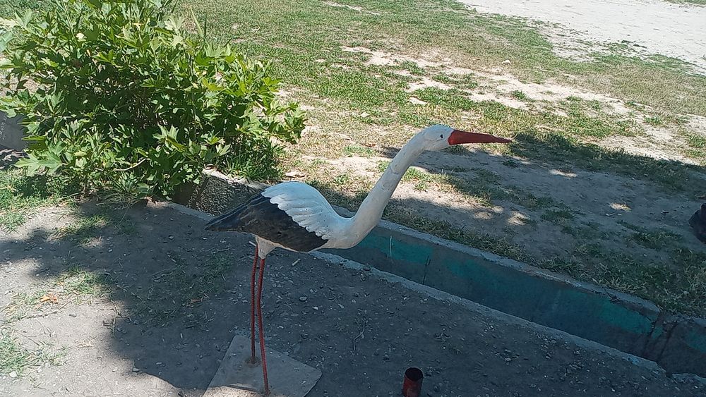 Ortiqcha vaznli ayollarning pornografik fotosuratlari galereyasi