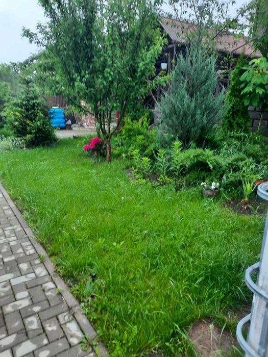 Уборка территории Стрижка газона.