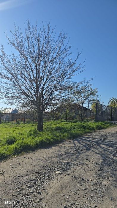 Vand/Schimb/Inchiriez Teren Extravilan-Baltag Tulcea