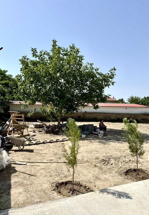 Продава се Къща в с. Черничево, Област Пловдив - 80 кв.м за 732 €/кв.м - Снимка #4