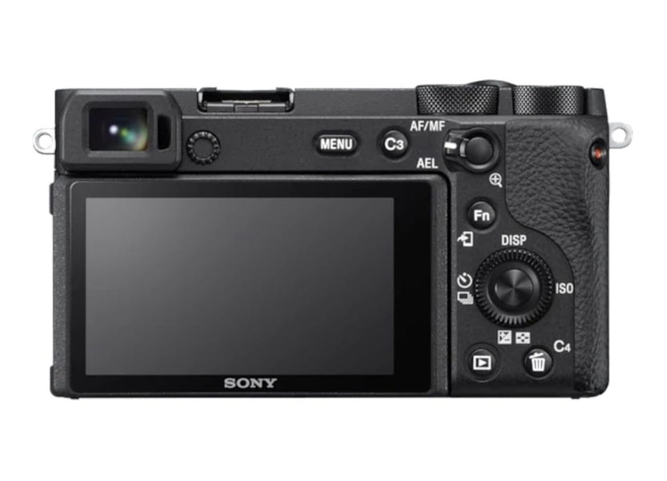 Sony A6600 + Sony 70-350 G