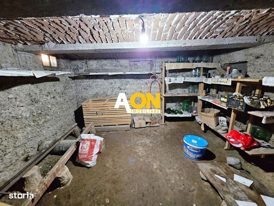 Casa renovata, 2 corpuri de cladire + anexe, 1331 mp teren, Paclisa
