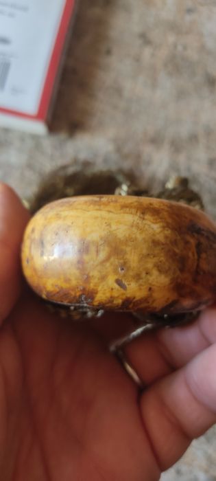 Corn praf pușca  sabie veche secol 17