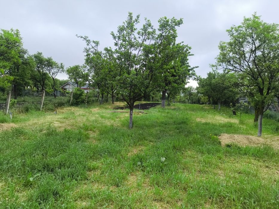 Casă  1.550 mp com.Tureni sat  Ceanu Mic