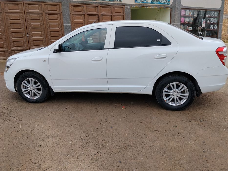 Kobilt 2024 yil kiraska toza yurgani 53000 ming