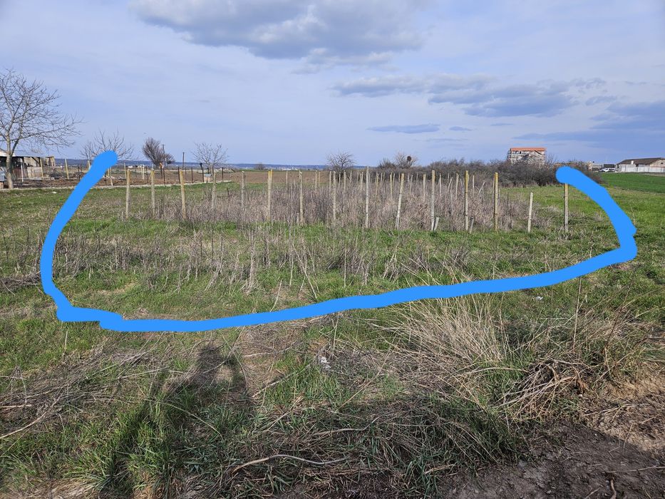 Teren intravilan 1000mp