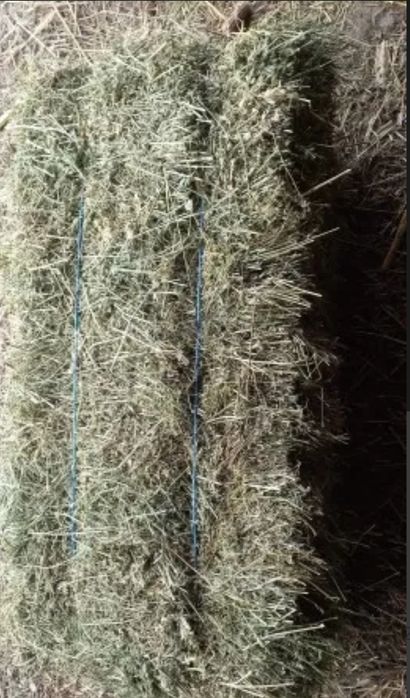 Baloți de lucernă de vânzare 25 RON bucata