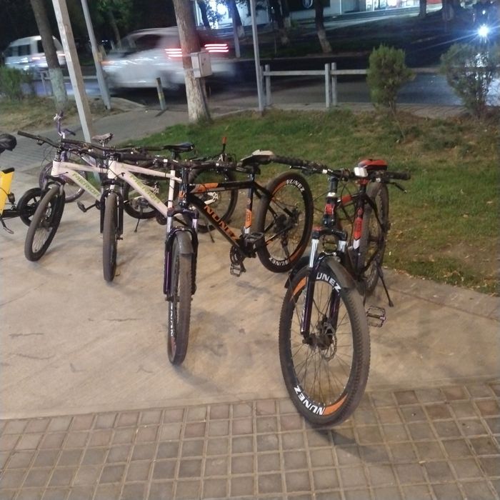 Velik sotiladi yaxshi