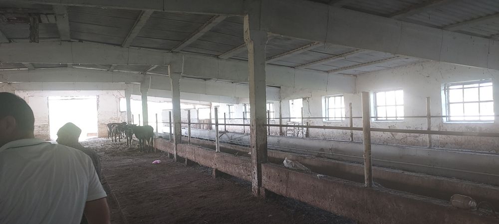 Нотурар жой. Молхона