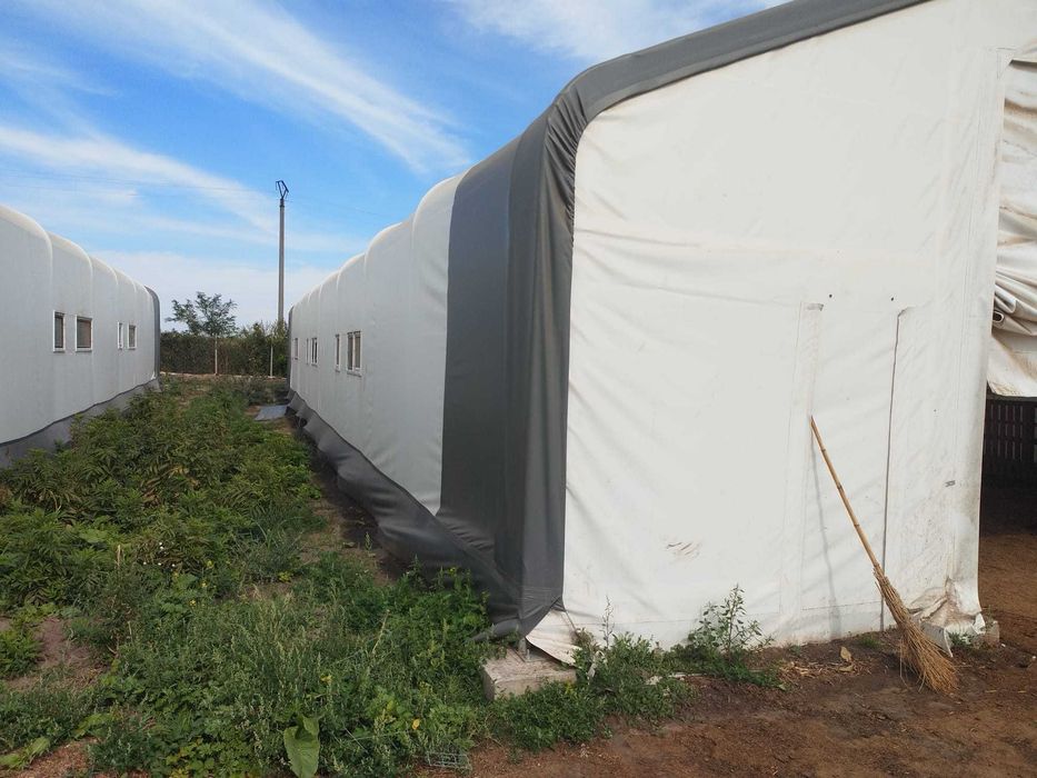 Cort de depozitare 10mx25m structura dubla, prelata 900g/mp2 , folosite 3 luni, minus 25% din pretul pietei