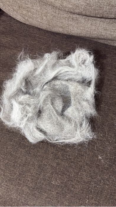 Груминг кошек и собак