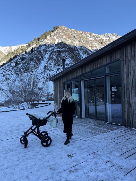 Коляска Verdi mirage 3 в 1