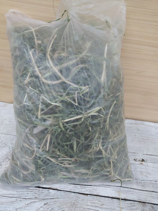 Сено для морских свинок, хомяков,шиншилл, крысок