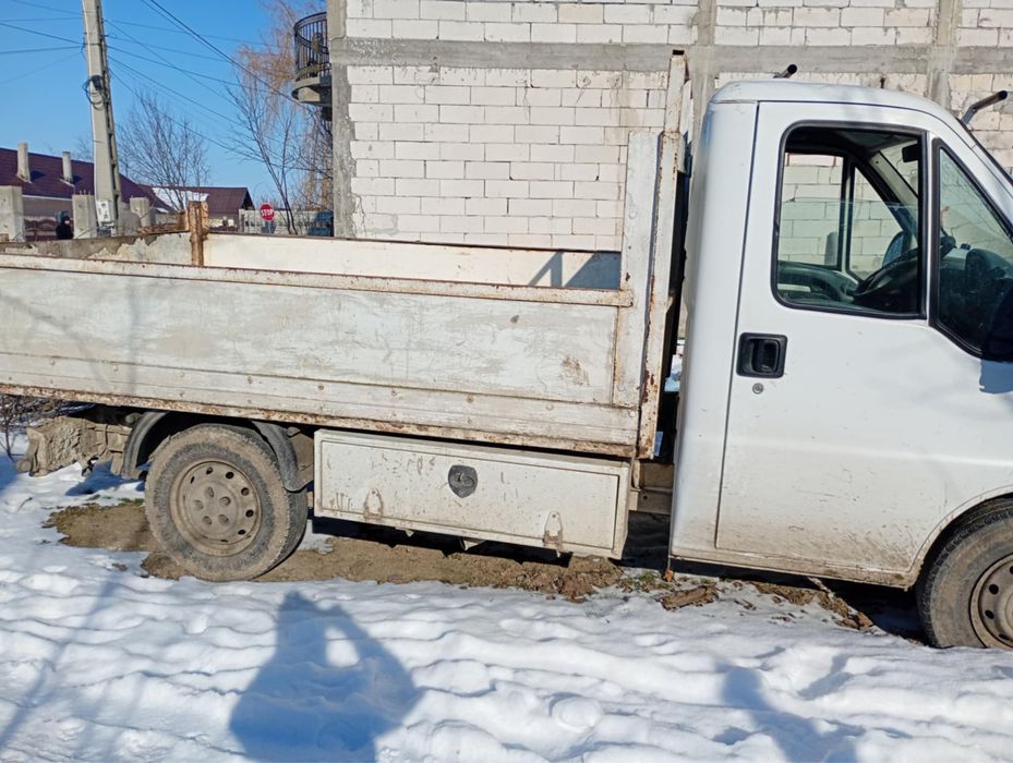 Basculabil citroen relay