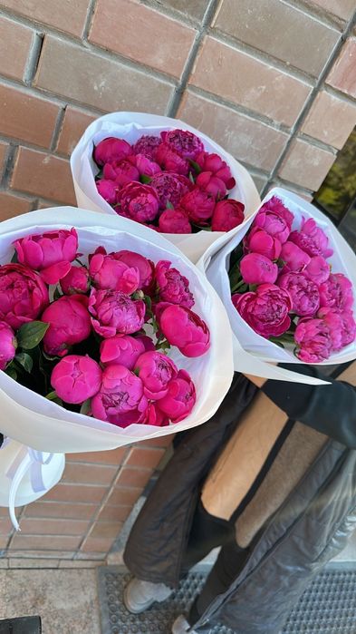 Пионы, пионовидные розы, гортензии