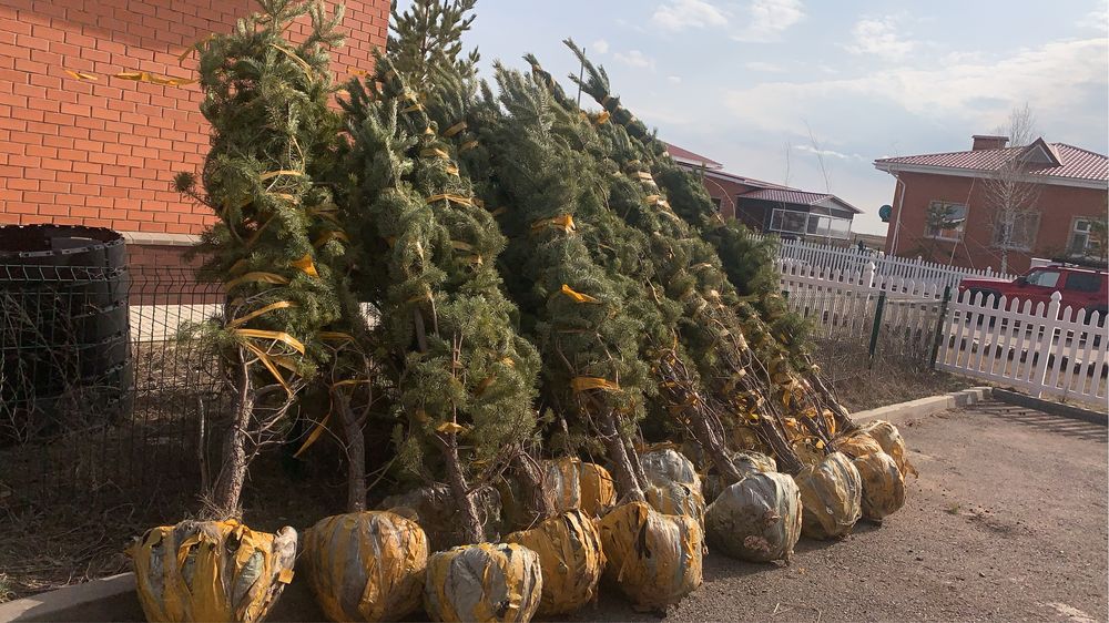 Благоустроиство территории Укладка Брусчатки