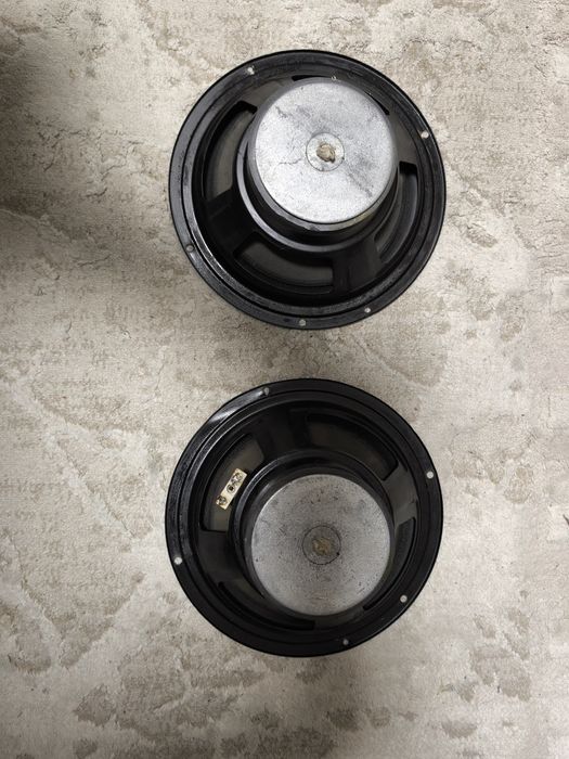 Динамики 22см 5 Ом.