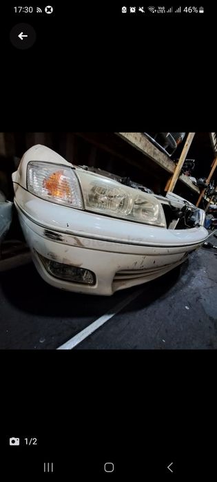 Морда носкат таёта