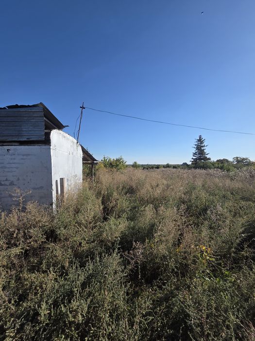 Продам дачу с домиком . Дамса