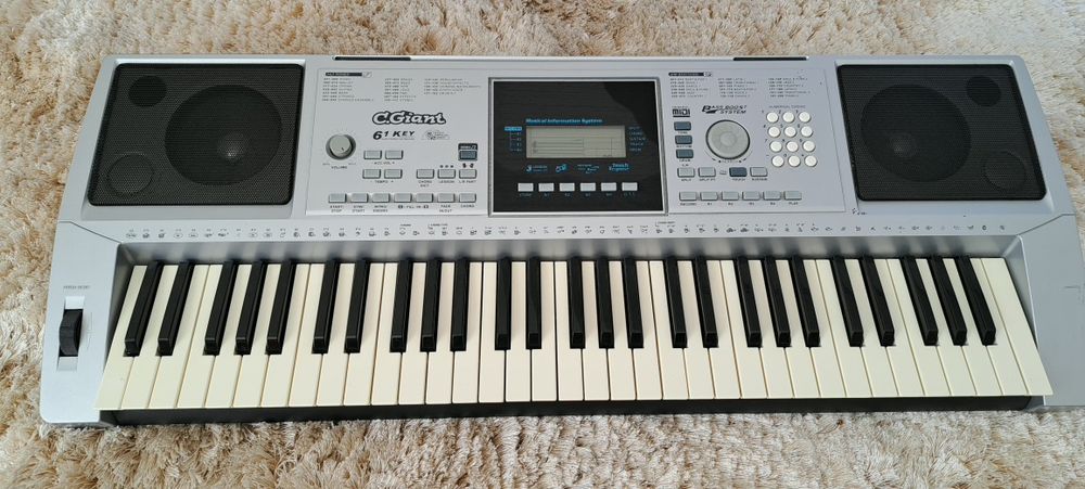 Pian electronic cu multe functii
