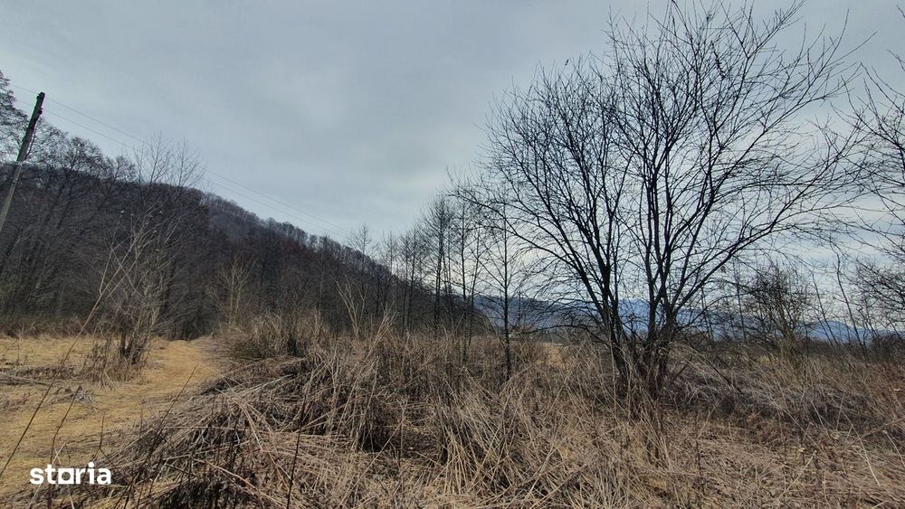 Teren Stana de Vale Sovata - Telek Patakmajor