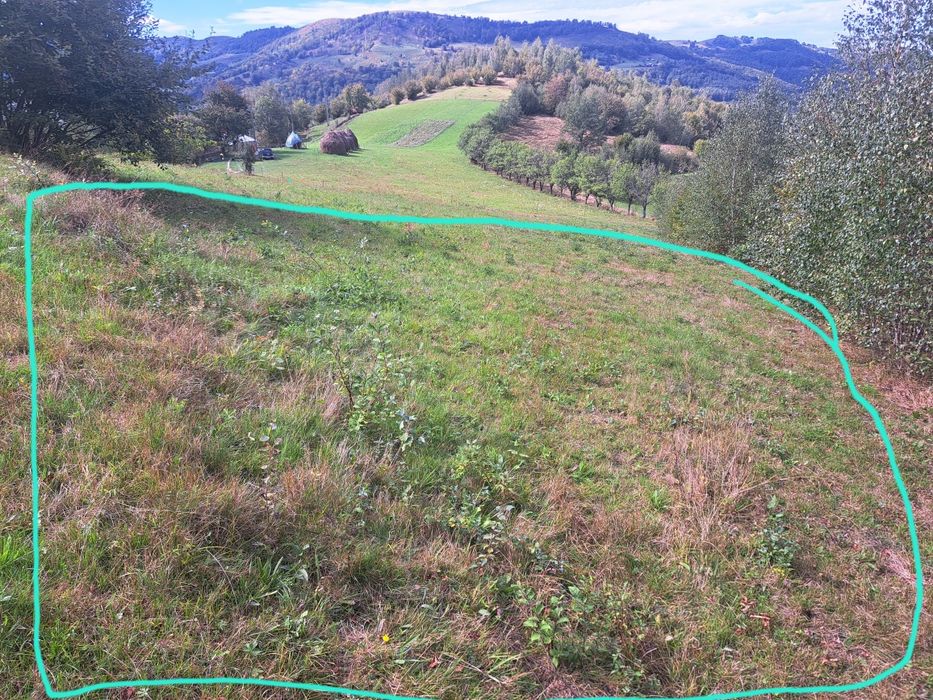 Vand teren la munte in Bulz