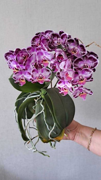 Удобрение. Гидропонный 9-компонентный раствор