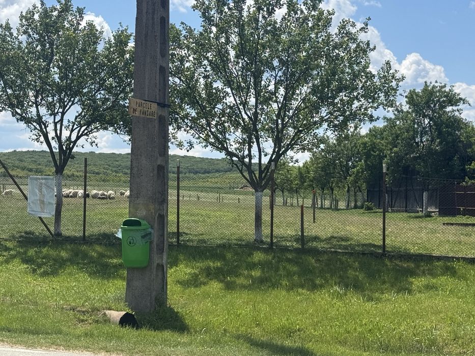 Vand terne pentru locuri  de casa in Felcheiru