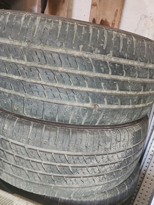 Летние Шины r19  roadstone