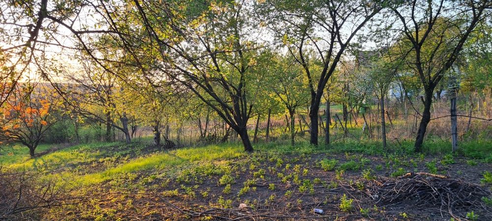Teren de vânzare în Copou, Viticultori, Iași