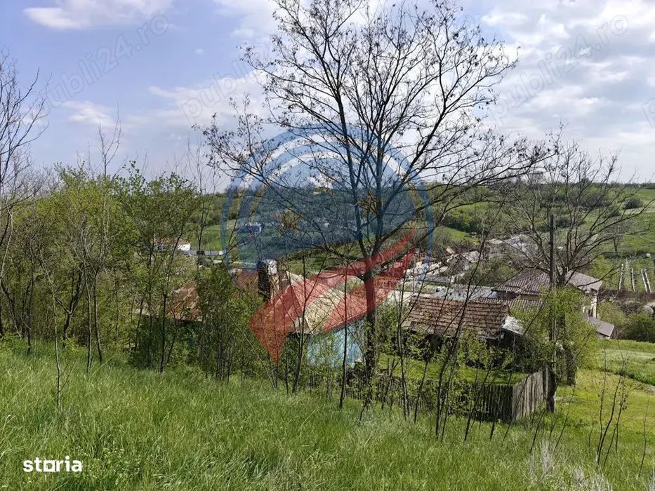Casa La 20 Km De Craiova Cu 10000 Mp. Teren