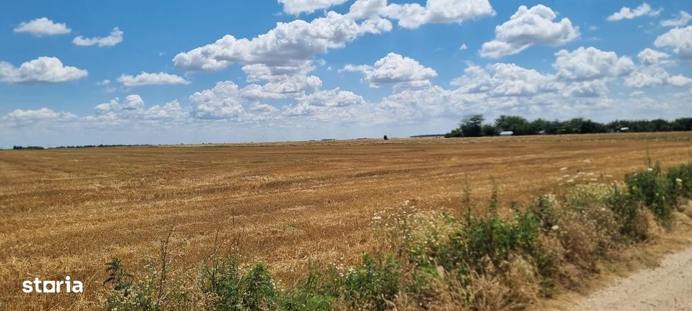 Vand 26 ha teren agricol, sat Gruiu, com Cateasca, Arges