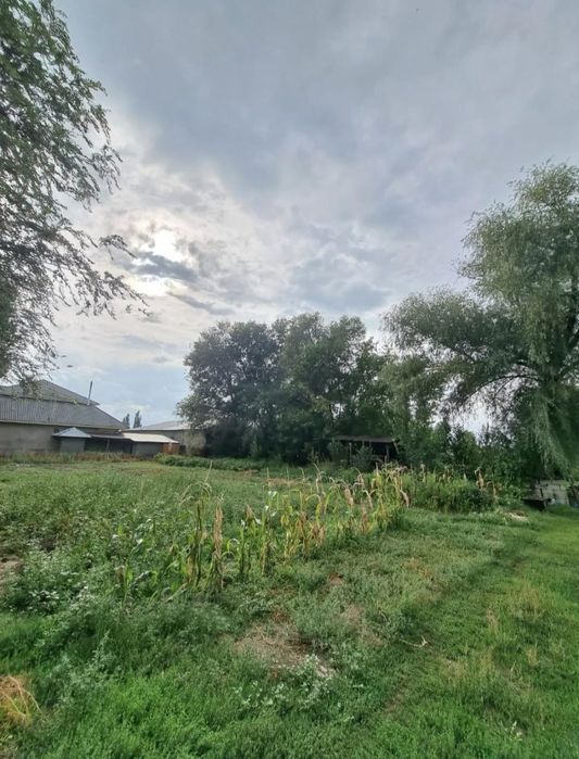 Продам дом в Бактыбае