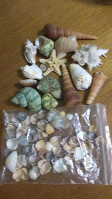 Сувениры, парусник, ракушки.