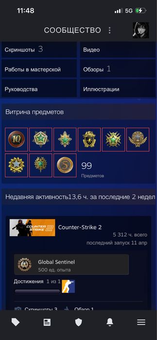 Продам STEAM аккуант FACEIT 10