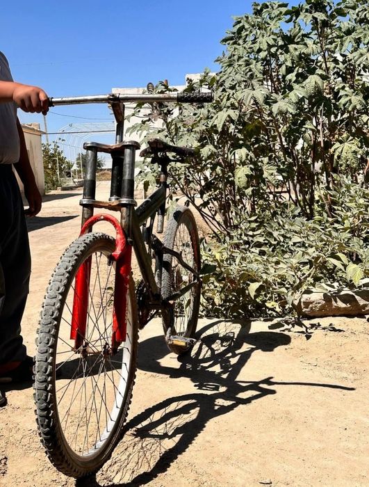 Velik skarasnoy sotladi