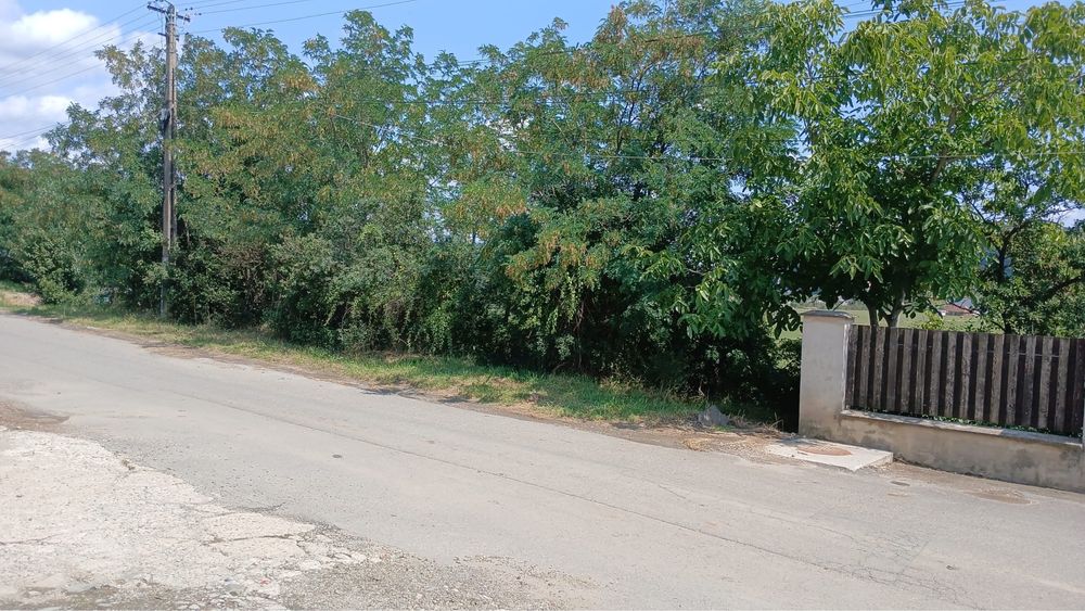 Teren intravilan 3.000 mp, Zalău – Ortelec, zona Pe Deal / strada Deleni