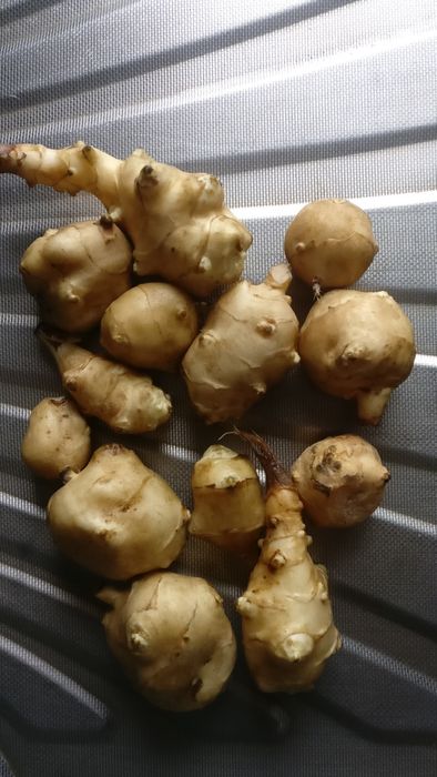 Napi albi proaspeți