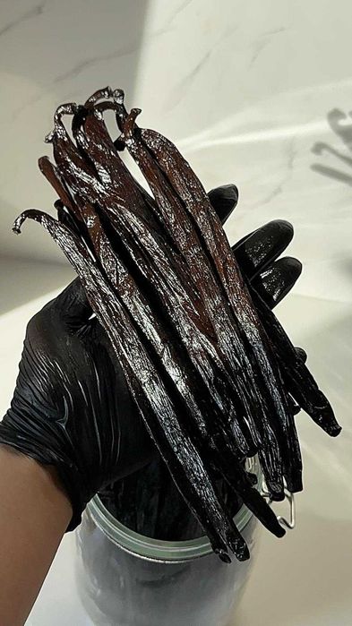 Pastai de Vanilie Mexic (20-24cm) Import direct din Madagascar !