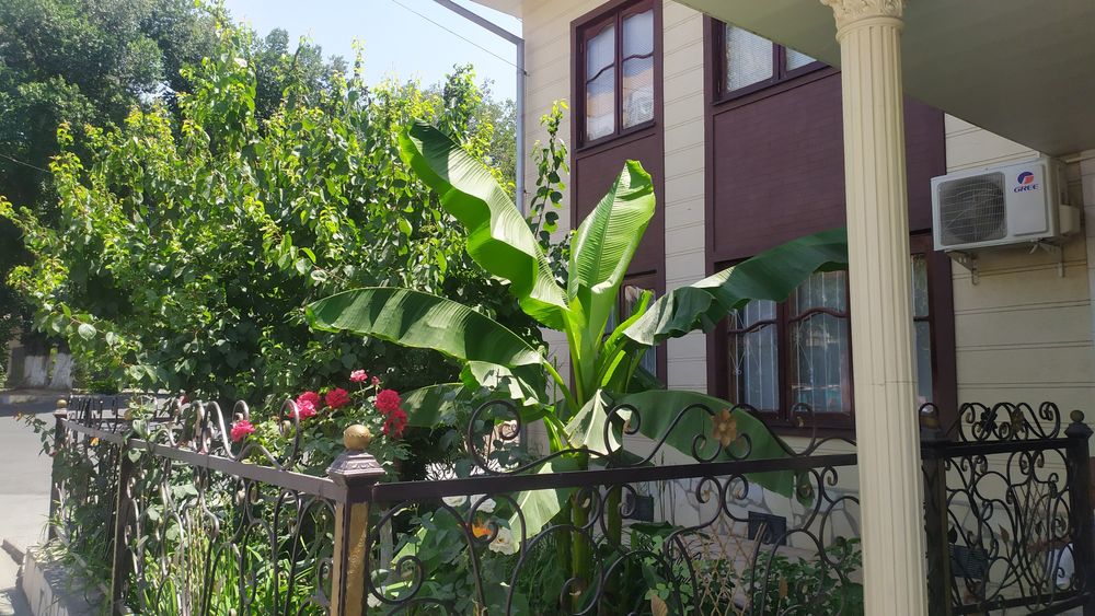 Коттедж 2 этажа со всеми удобствами