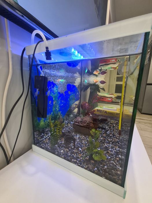 Аквариум с плъзгащ капак 50л