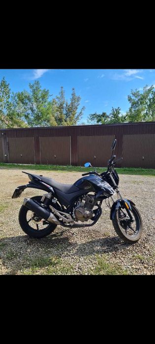 Daytona monster 125 cc 16 ani 2021 7300km