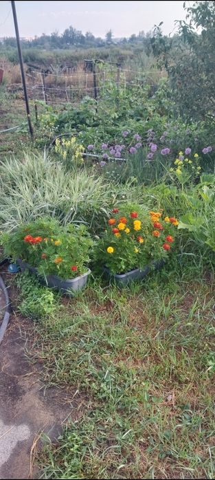 Продам дом в г.Тобыл