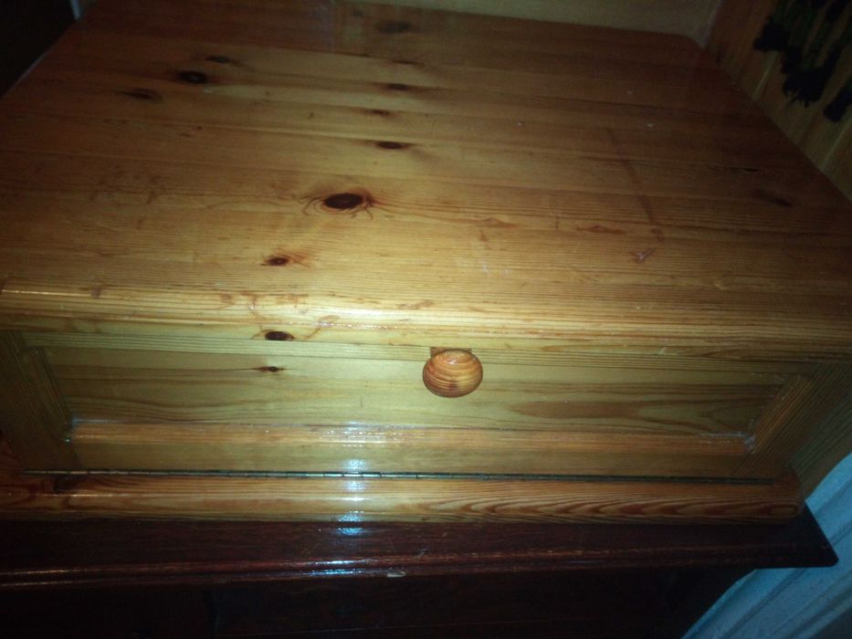 de  vanzare     suport    pentru  ori  ce !!!