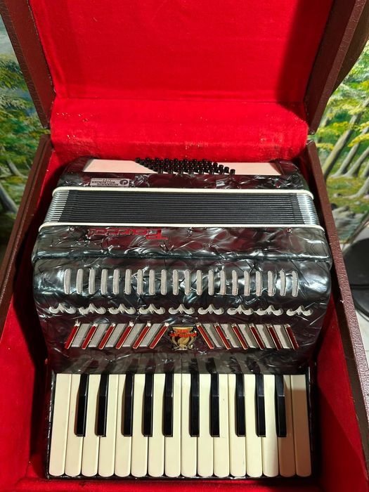 Acordeon mic pentru copii