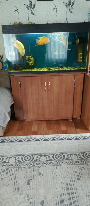 Продам большой аквариум.